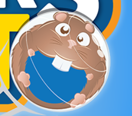 Hamster in a ball